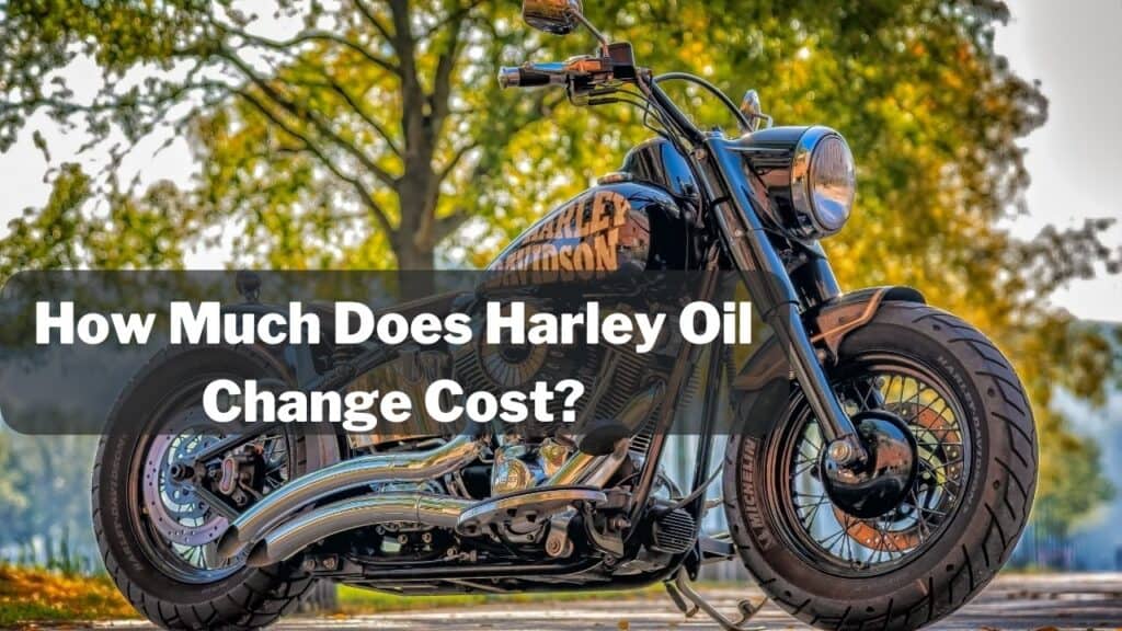 How Much Does Harley Oil Change Cost