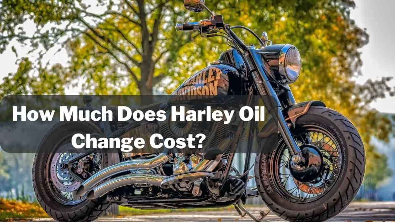 how-much-is-harley-davidson-oil-change-save-75-with-diy