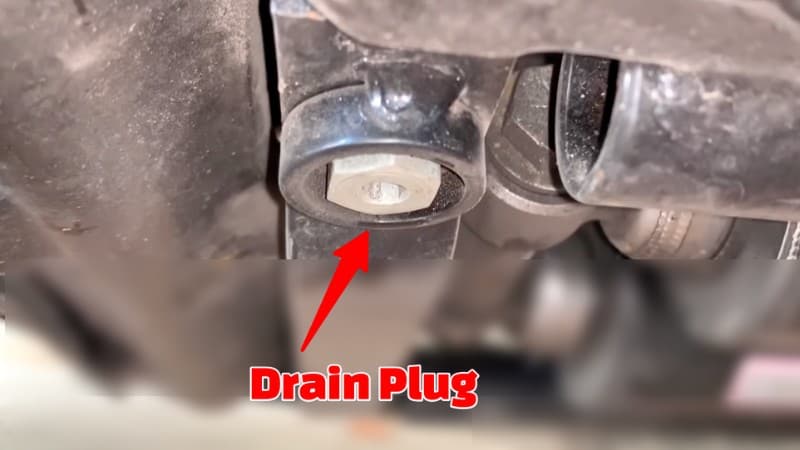 Oil Drain Plug