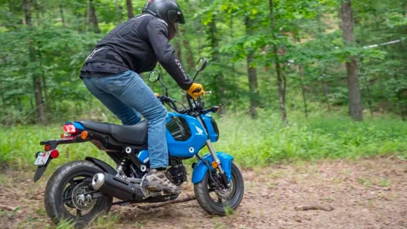 Honda Grom Off-roading