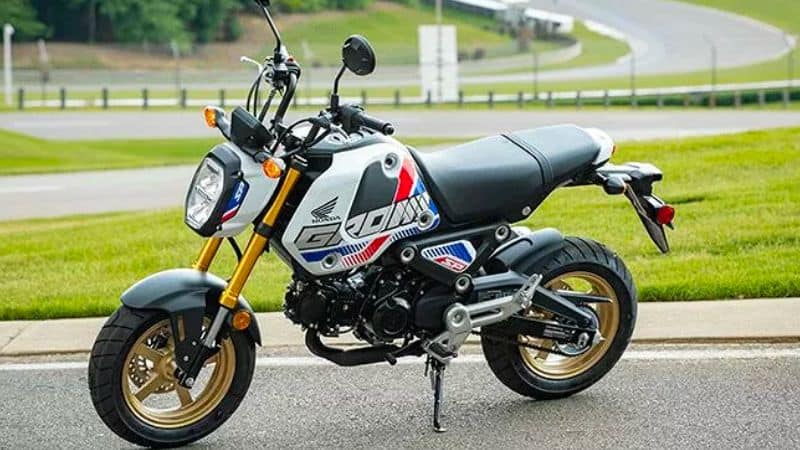 Honda Grom Standing on Road