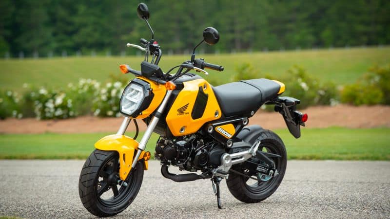 Yellow Honda Grom Standing on Road